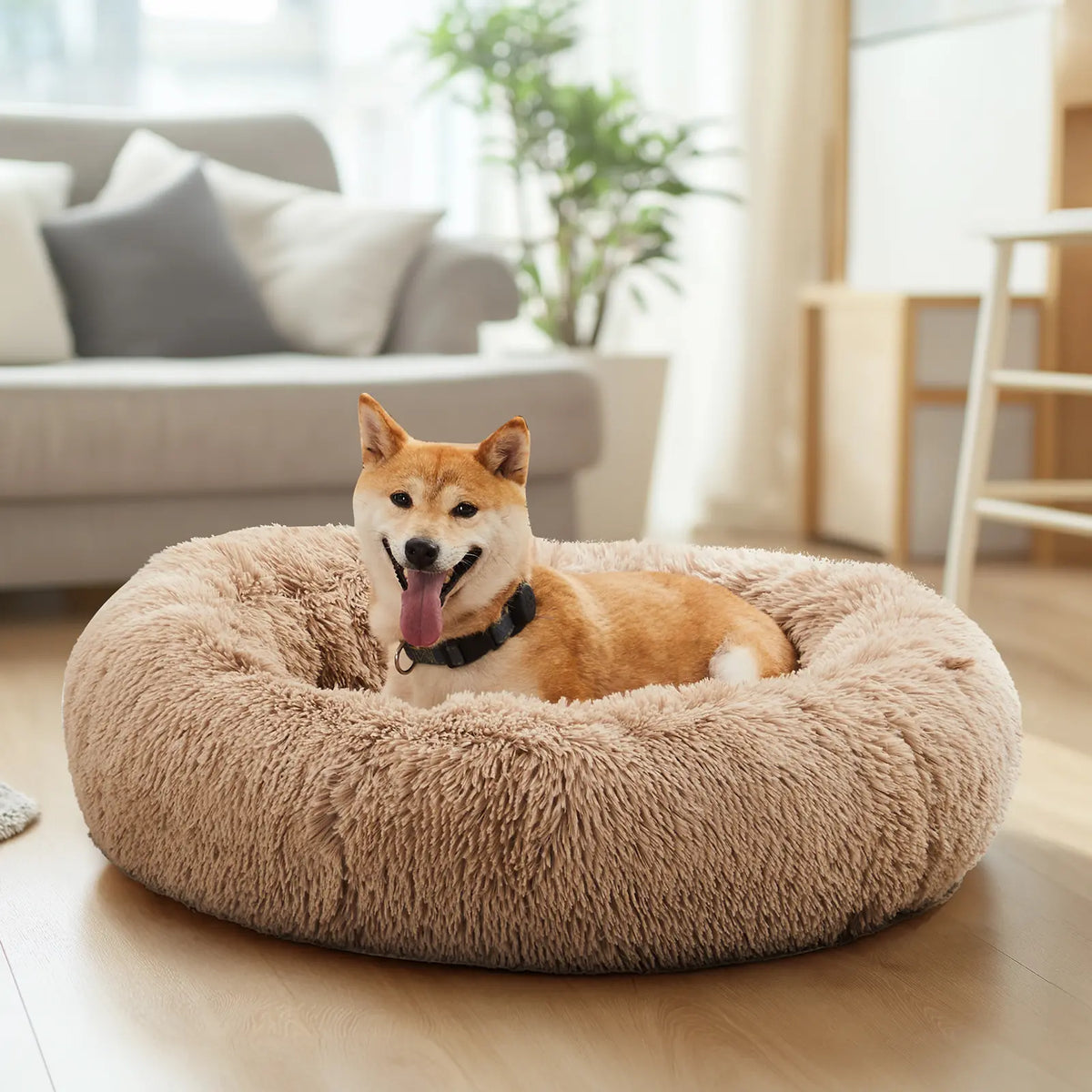 Sweetcrispy Modern Orthopedic Memory Foam Pet Bed for Large Dogs with 3-Sided Bolsters - 20"L x 24"W x 8"Th, Waterproof Detachable Cover, Non-Slip Base, Joint Relief, Consistent Support, Pressure Relief, Supportive Sofa, 24 to 48 Hour Recovery Time