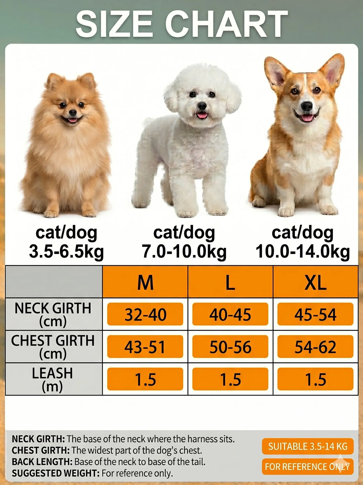 Adjustable 2-Pack Pet Harness and Leash Set, Soft Suede Vest with Durable Reflective Features, Tangle-Free Leash for Effortless Walking, Perfect for Daily and Nighttime Outdoor Activities