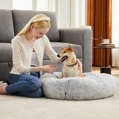 Sweetcrispy Modern Orthopedic Memory Foam Pet Bed for Large Dogs with 3-Sided Bolsters - 20"L x 24"W x 8"Th, Waterproof Detachable Cover, Non-Slip Base, Joint Relief, Consistent Support, Pressure Relief, Supportive Sofa, 24 to 48 Hour Recovery Time