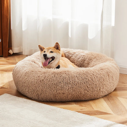 Sweetcrispy Modern Orthopedic Memory Foam Pet Bed for Large Dogs with 3-Sided Bolsters - 20"L x 24"W x 8"Th, Waterproof Detachable Cover, Non-Slip Base, Joint Relief, Consistent Support, Pressure Relief, Supportive Sofa, 24 to 48 Hour Recovery Time