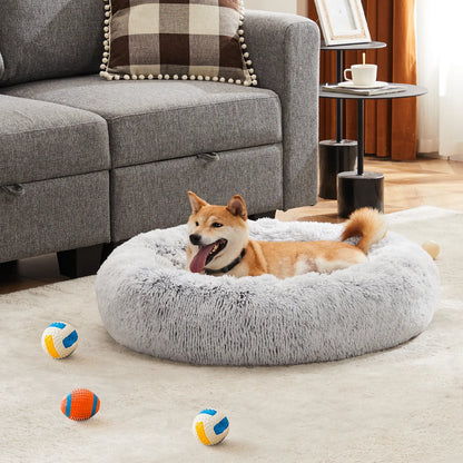 Sweetcrispy Modern Orthopedic Memory Foam Pet Bed for Large Dogs with 3-Sided Bolsters - 20"L x 24"W x 8"Th, Waterproof Detachable Cover, Non-Slip Base, Joint Relief, Consistent Support, Pressure Relief, Supportive Sofa, 24 to 48 Hour Recovery Time