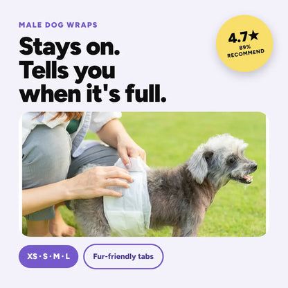 Petsworld Male Dog Diapers, Disposable Belly Bands for Male Dogs, Super Absorbent Dog Wraps with Wetness Indicator, Leak Proof Fit for Marking, Incontinence & Potty Training, Sizes XS-L Puppy Diapers