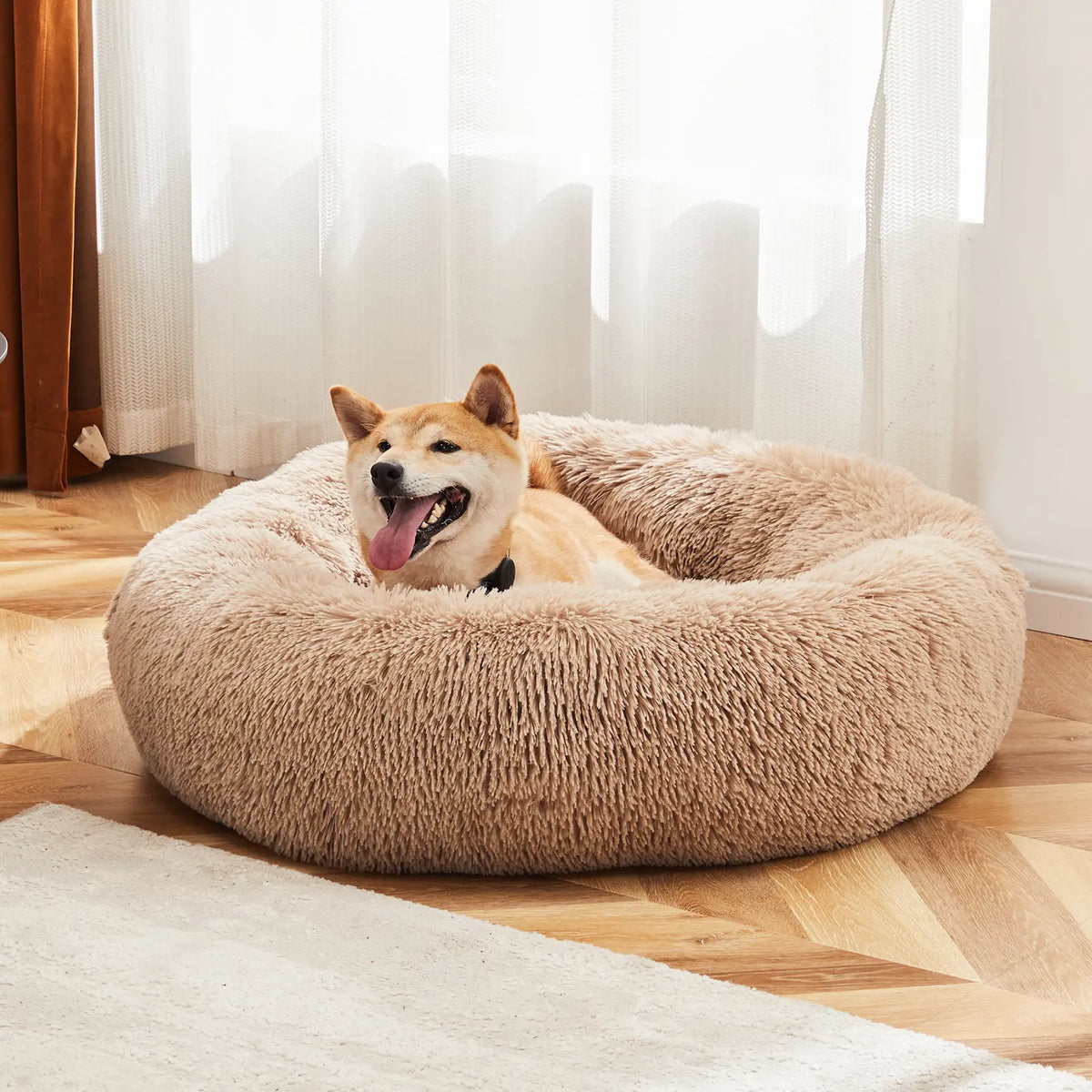 Sweetcrispy Modern Orthopedic Memory Foam Pet Bed for Large Dogs with 3-Sided Bolsters - 20"L x 24"W x 8"Th, Waterproof Detachable Cover, Non-Slip Base, Joint Relief, Consistent Support, Pressure Relief, Supportive Sofa, 24 to 48 Hour Recovery Time